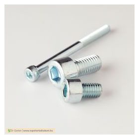 Horganyzott, belső kulcsnyílású csavar (8.8)